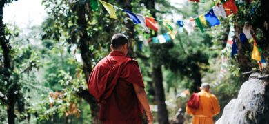 two-monks-walking-between-trees-750895